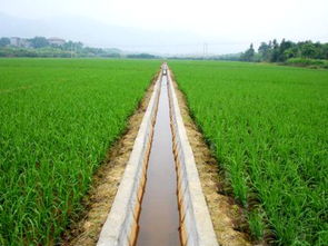 江西省扎实推进小型农田水利重点县建设